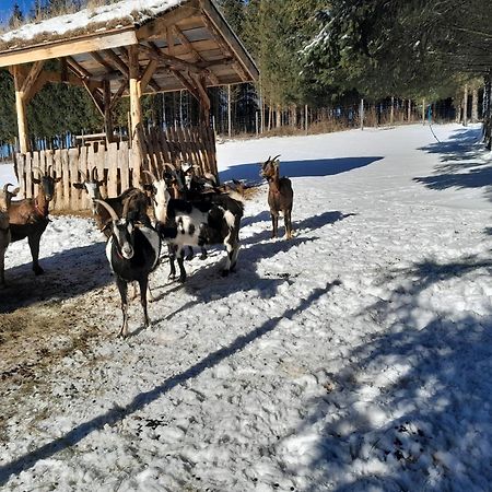 Sowinka Βίλα Lutowiska Εξωτερικό φωτογραφία