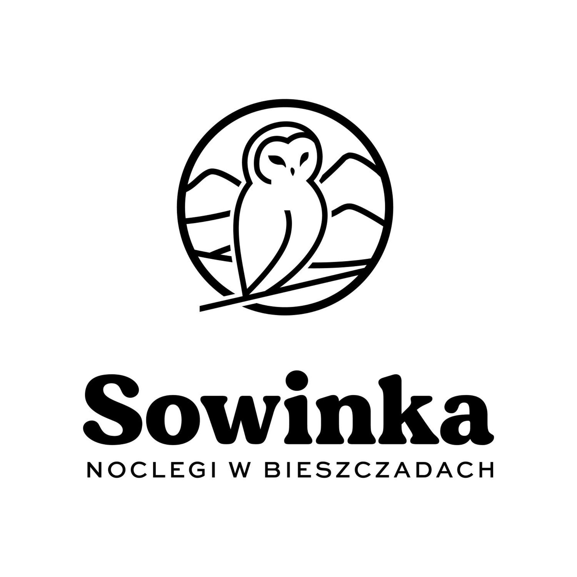 Sowinka Βίλα Lutowiska Εξωτερικό φωτογραφία
