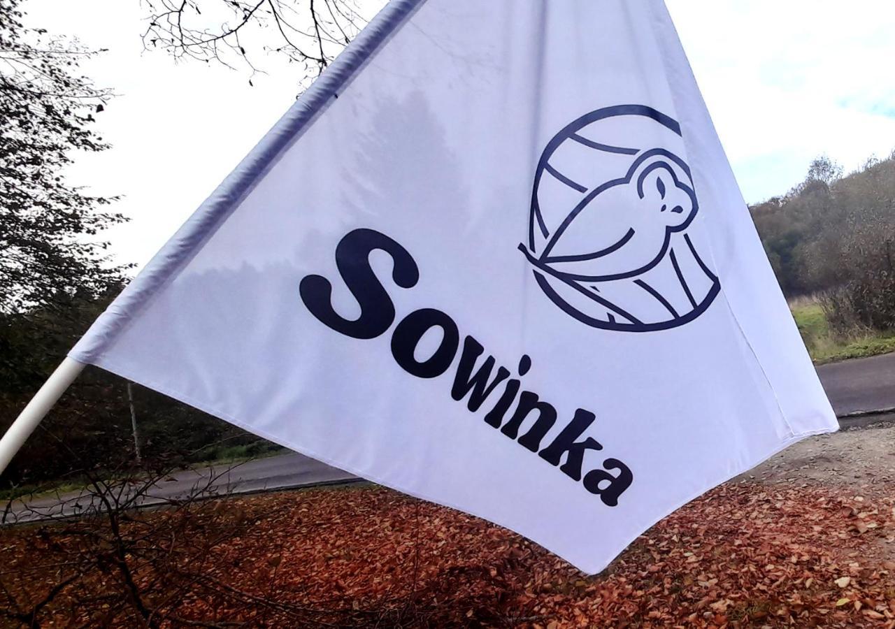 Sowinka Βίλα Lutowiska Εξωτερικό φωτογραφία